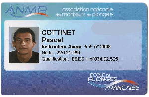 BEES 1 Pascal Cottinet