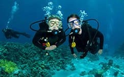 Open water diver Padi