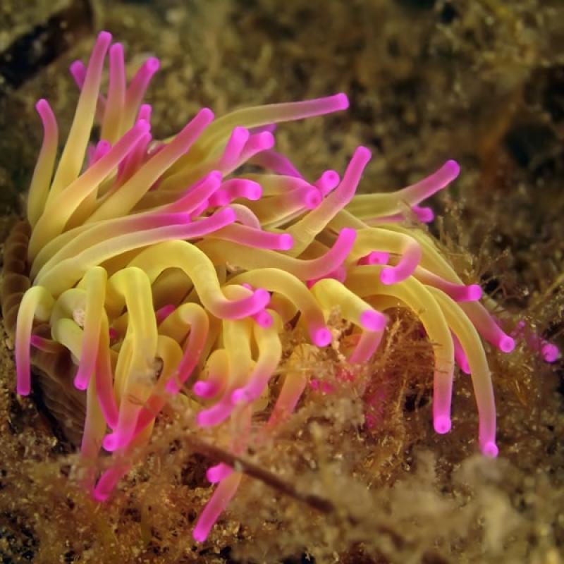 Thau Faune Flore 47